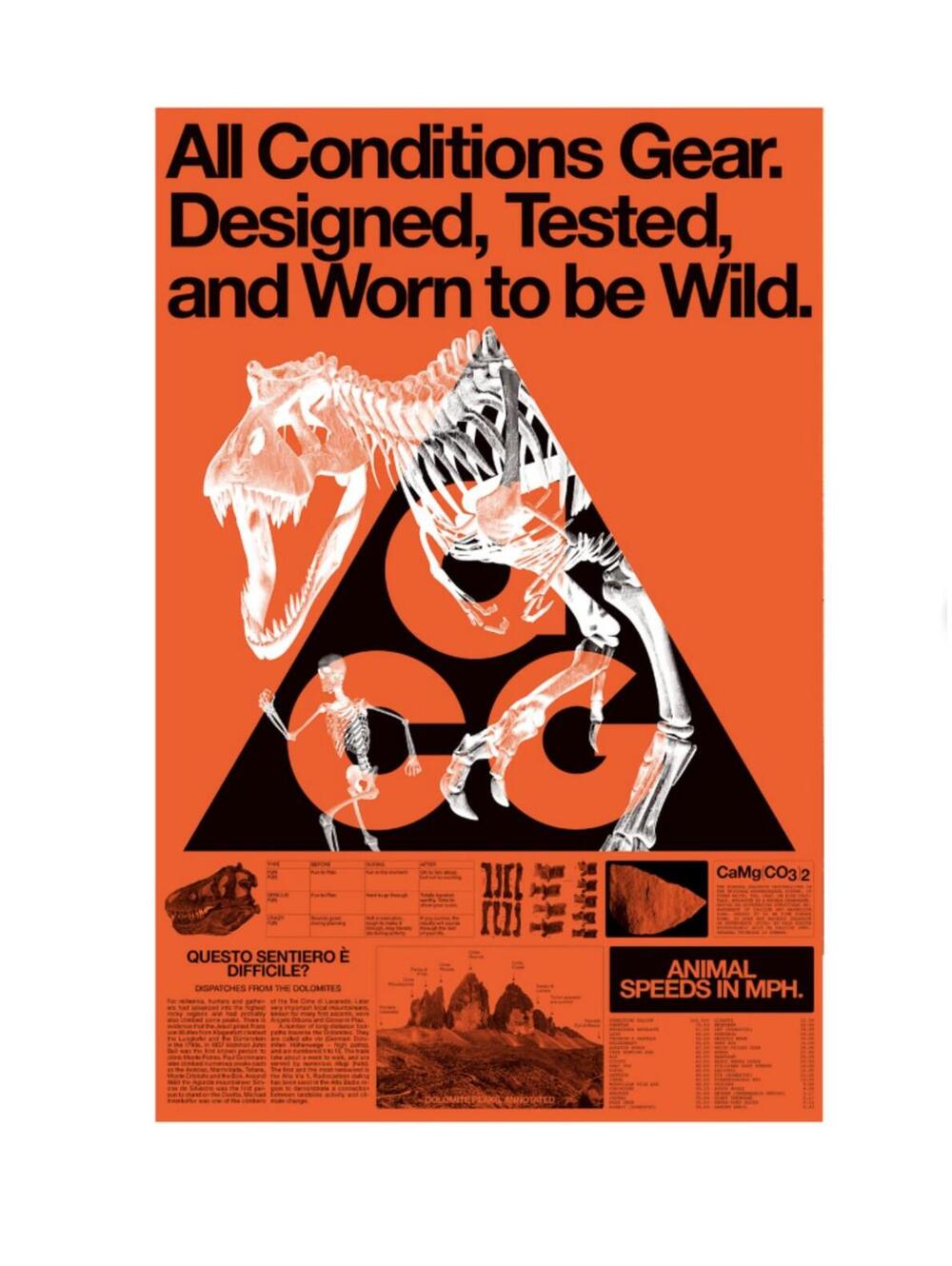Nike ACG Fossil Poster